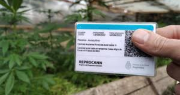 Acceder al REPROCANN desde la mirada jurídica: trámites que demoran más de un año y la lucha por eliminar el tabú negativo sobre la marihuana