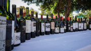 San Juan lanzó el festival “SABOR” y una nueva edición de EVISAN