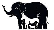 Acertijo visual: solo las personas con vista de halcón podrán encontrar los animales ocultos