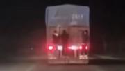 VIDEO. Imprudencia al límite: se colgaron de un camión en movimiento entre Tartagal y Mosconi