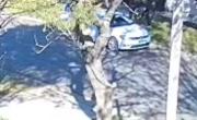 VIDEO. Golpe millonario de la banda del Golf blanco en La Plata: huyeron con dinero y electrodomésticos
