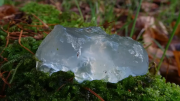 Lluvia de gelatina: el misterioso fenómeno pegajoso que desconcertó a científicos y vecinos