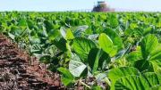 Aportes para un programa agrario