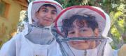 Vivir de la miel sin explotar a las abejas: el proyecto sustentable de dos jóvenes de Neuquén