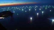 De calamares y otros bichos usurpados en el Mar Argentino