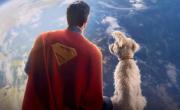 Se disparan las adopciones de perritos gracias a Krypto, el supercan de “Superman”