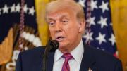 ¿Deportaciones afectan la popularidad de Trump? Esto dicen las últimas encuestas en EEUU