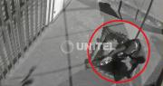 Cámara capta a delincuentes en su intento de robar fibra óptica