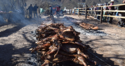 Las mejores postales de la convocante Fiesta Provincial del Chivo 2025