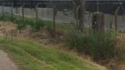 El brutal hallazgo de un nene de dos años muerto: estaba lleno de mordeduras