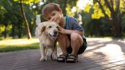 DÍA MUNDIAL DEL PERRO: No, tu perro no siempre come pasto porque se siente mal