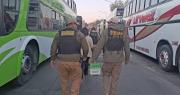 Secuestran a un erizo que era trasladado en un bus por una joven que llegó desde Perú