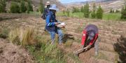 Heladas afectan a 237.000 productores y 145.000 hectáreas de 10 tipos de cultivos