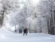 Más nieve en Chapelco impulsa una nueva etapa en la temporada y Neuquén se viste de invierno