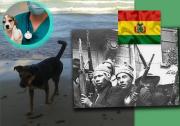 Efemérides del 21 de julio: Día Mundial del Perro, y del Veterinario Venezolano