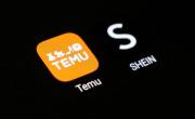 Shein o Temu: cuál es mejor para hacer comprar en Argentina y las diferencias entre cada app