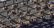 Vandalismo en El Zonda: robaron tablones y cableado del autódromo sanjuanino