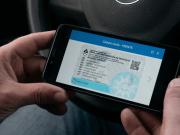 Fin de la cédula azul: la eliminan para empresas y la reemplazan por un registro para conductores