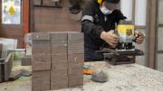 Informalidad laboral: hay unos 600.000 monotributistas que en realidad son asalariados