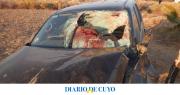 Choque de dos camionetas con caballos en Ruta 40: dieron a conocer la identidad y el estado de los heridos
