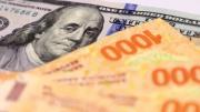Ni plazo fijo ni dólar: cuál es la inversión que paga una tasa de interés de 70%