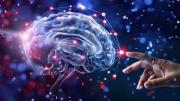 Día Mundial del Cerebro: por qué se celebra el 22 de julio