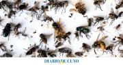 La poderosa planta aromática que ayuda a ahuyentar insectos y roedores en casa