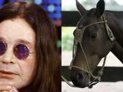 El día que Ozzy Osbourne reveló que dejó las drogas luego de hablar durante una hora con un caballo