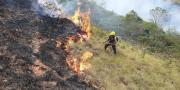 Gobierno trabaja en la coordinación para evitar incendios en el país