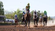 Conocé a los inscriptos del Clásico Santo Patrono Santiago que correrán en el Hipódromo de Mendoza el viernes