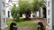 Una guía para recorrer y conocer los jardines y patios ocultos de Córdoba
