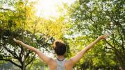 ¡Ideal para tus mañanas! Gana mucha energía y cuida tu estómago: solo debes agregar esta popular hortaliza al licuado de avena