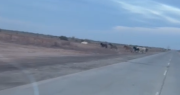 Tras un grave siniestro con un animal, hay preocupación por caballos sueltos en la Ruta 40 hacia Mendoza