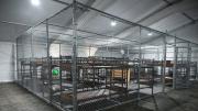 Es como una jaula para perros: detenidos en Alligator Alcatraz denuncian reclusión en espacios infestados de mosquitos