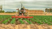 Maipú Agrolimpio: el programa que cuida el ambiente y acompaña a los productores