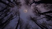 Qué significa que alguien le guste mucho mirar la luna, según la psicología