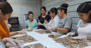 Impulsan un modelo educativo-productivo en Valle Fértil con una inversión de más de $22 millones