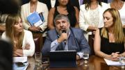 Senadores de Unión por la Patria repudian a Lamelas y exigen que no se lo acepte como embajador