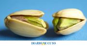 ¿Cuántos pistachos se pueden comer por día? Qué dicen los expertos