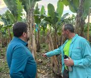 DORIA MEDINA LLEGA AL CHAPARE DE COCHABAMBA Y VISITA A PRODUCTORES DE PLÁTANO