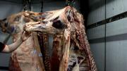 Retenciones: el Gobierno evalúa una rebaja para la exportación de carne vacuna