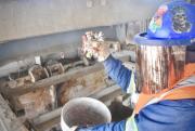 La Paz: De la basura a la energía por un futuro sostenible