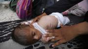 Crisis humanitaria en Gaza: culpan a Israel por la escasez de alimentos