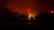 Turquía: un incendio forestal azota la nación desde hace dos días y ya son 10 muertos