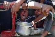 Medio millón de personas sufren hambruna en Gaza