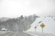 Cuál es la diferencia entre los tres fenómenos en rutas de Río Negro y Neuquén: cencellada, hielo blanco y hielo negro