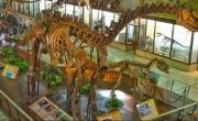 Museo de Ciencias Naturales de CABA: entradas, días, horarios y cómo llegar