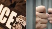 Arrestan a colombiana por pasear a su perro en una playa de Florida: casi es deportada por desconocer esta regla