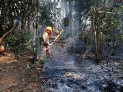 Beni se declara en emergencia por recurso contra incendios presentado ante el Tribunal Agroambiental