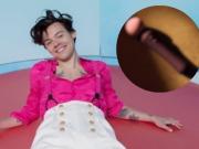 Harry Styles lanza su línea de juguetes sexuales y rompe otro tabú pop